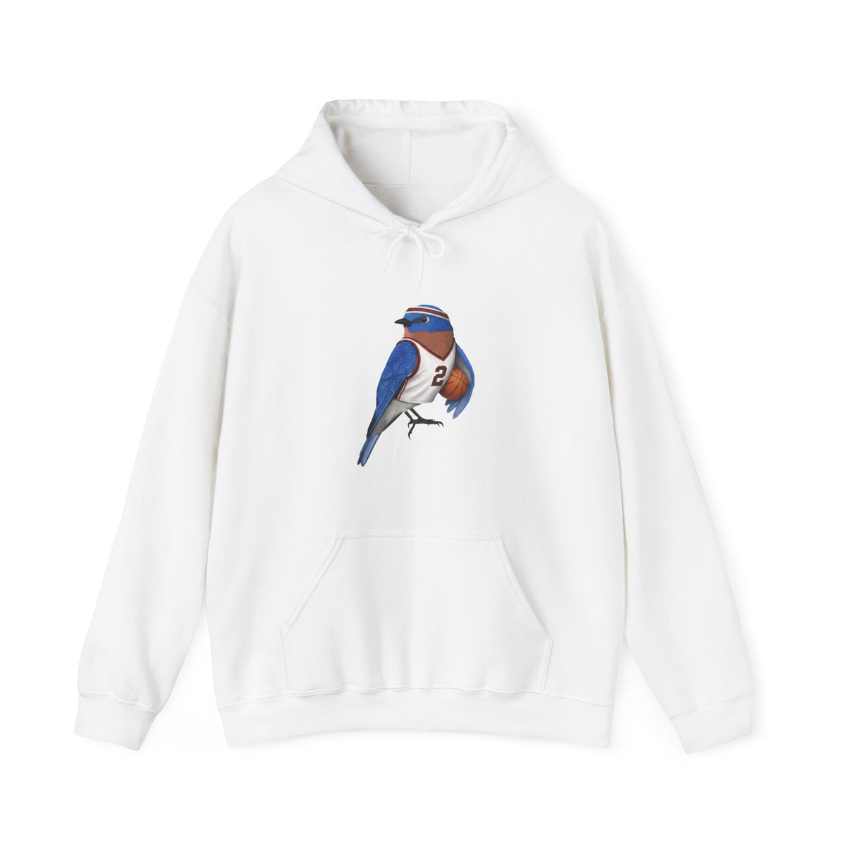 Bluebird Hoodie – basketball bird