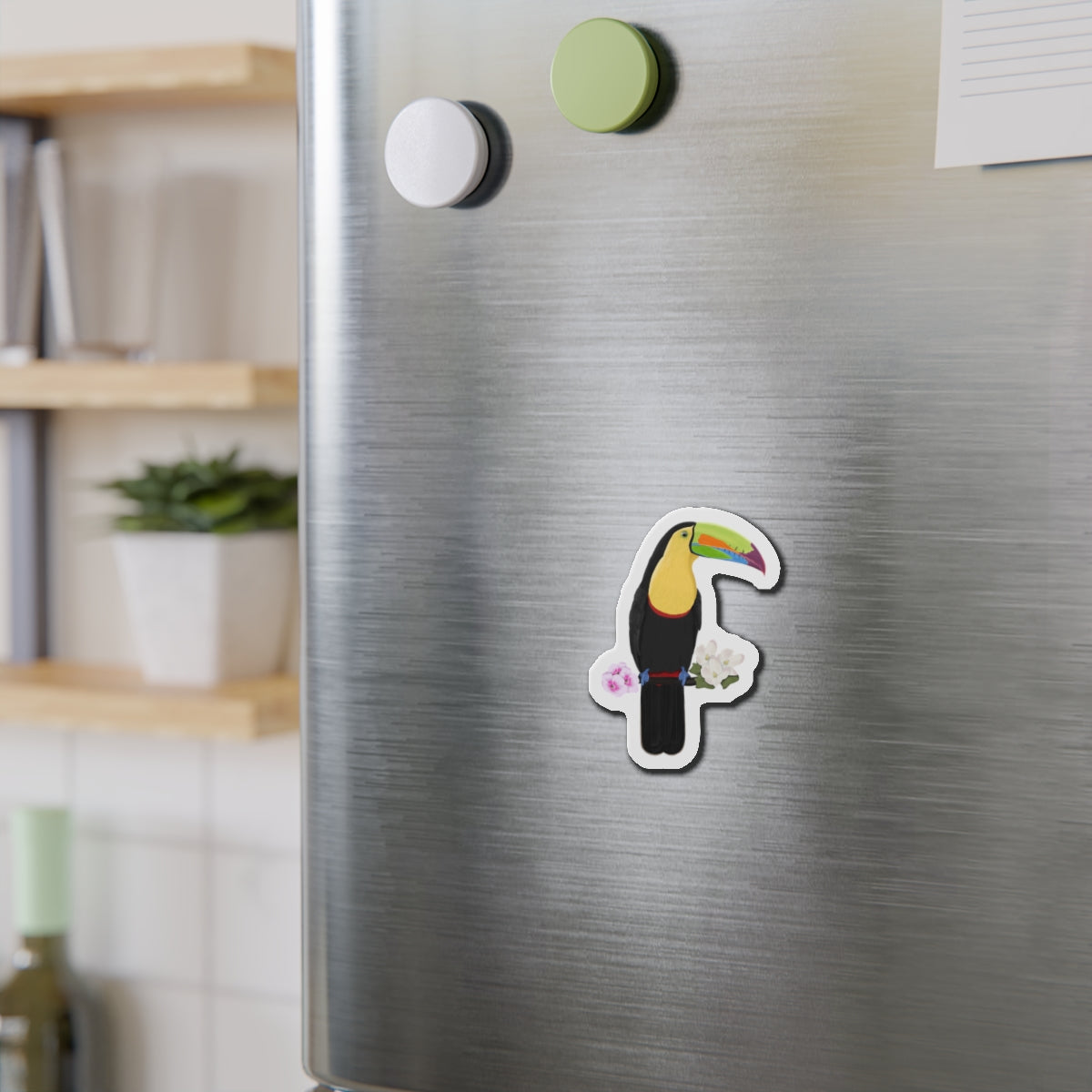 Keel-Billed Toucan Bird Magnet