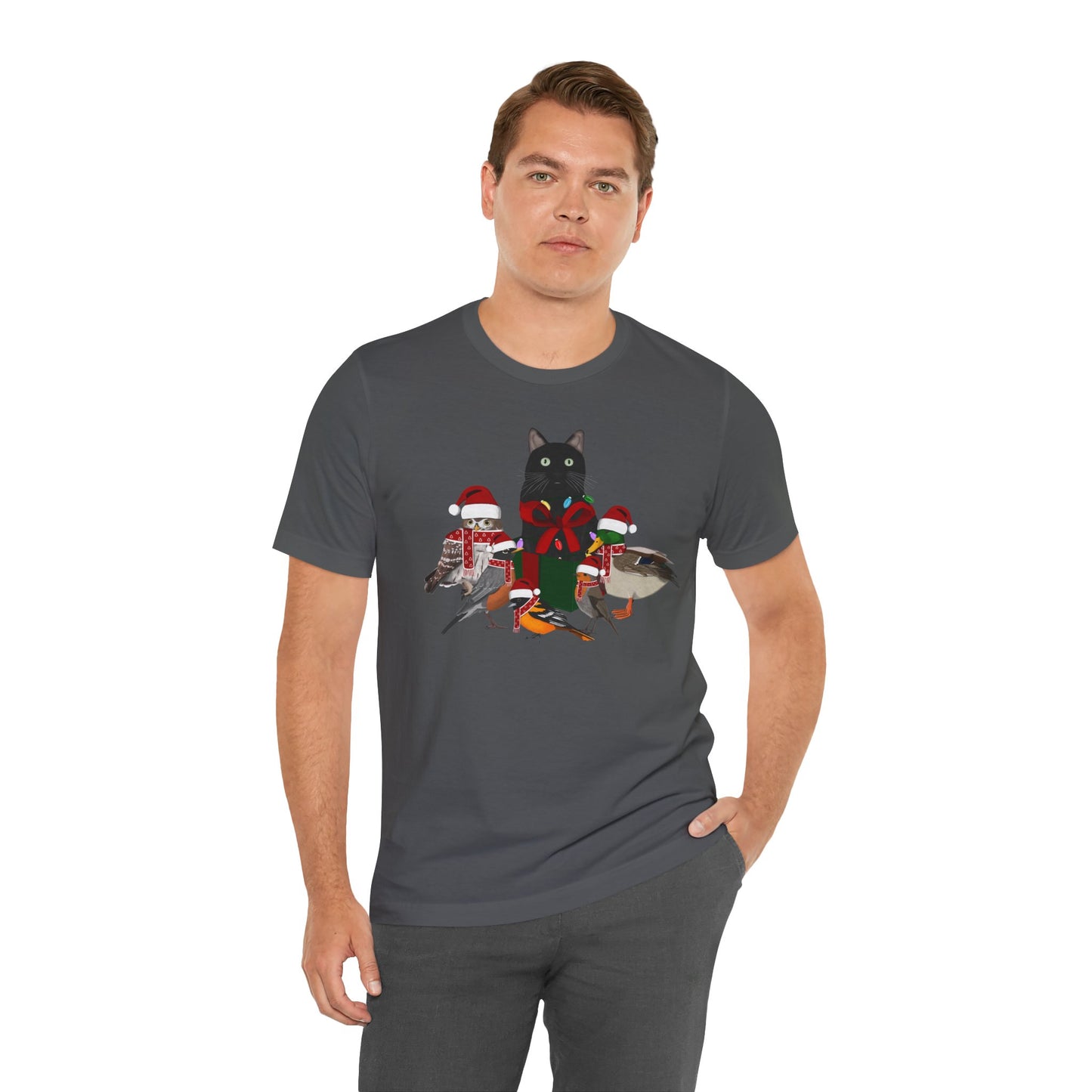 Robin Mallard Oriole Owl with Cat in a Box and Fairy Lights Christmas Bird T-Shirt