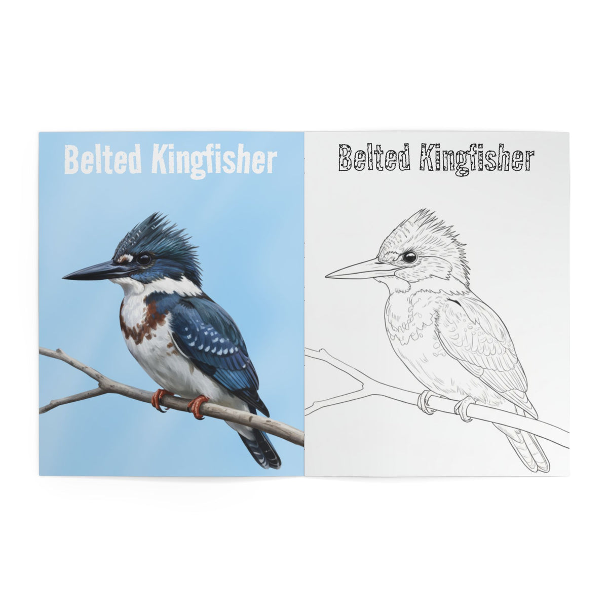 Backyard Birds of North America – Realistic Coloring Book with Full-Color Reference Art (8.5" x 11") – adult