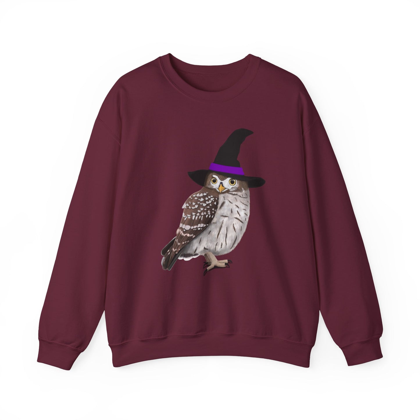 Owl Halloween Witch Birdwatcher Biologist Bird Sweatshirt – Animal Lover Gift,