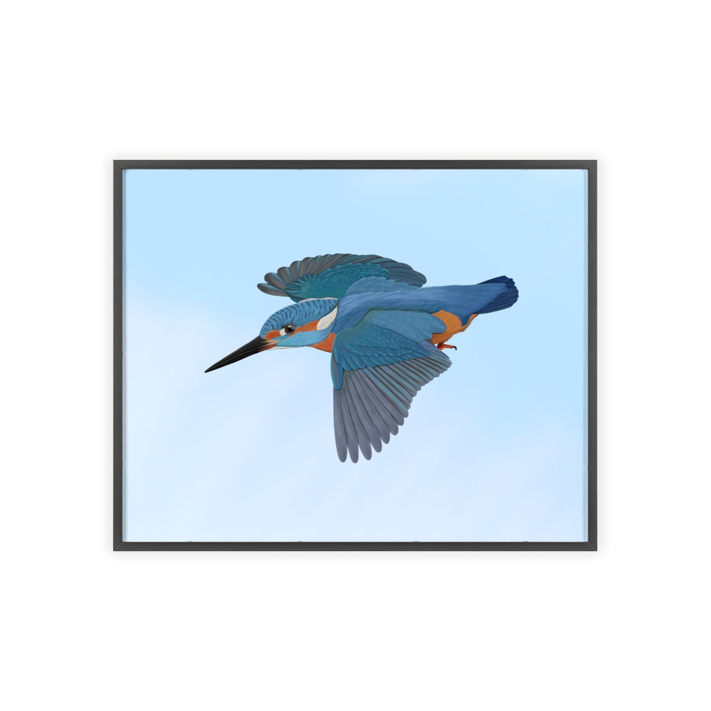 Vogel Poster im Holzrahmen - Eisvogel Poster Gartenvogel Singvogel