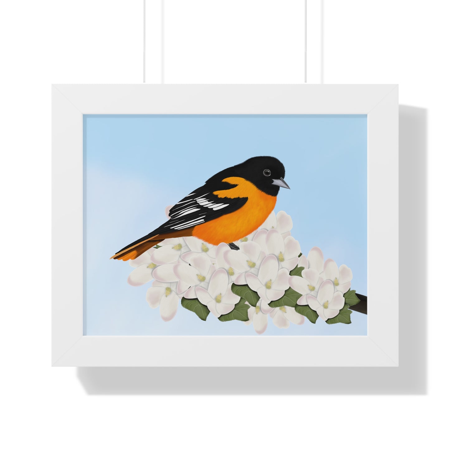 Baltimore Oriole Spring Blossoms Bird Framed Poster