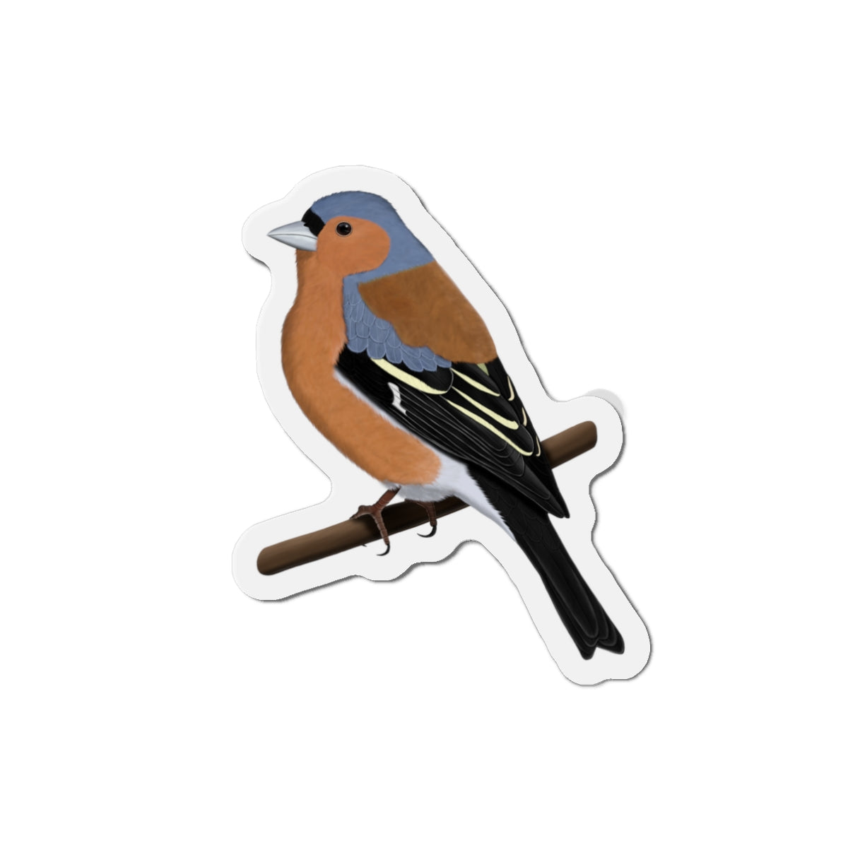 Finch Home Decor – Chaffinch Bird Magnet