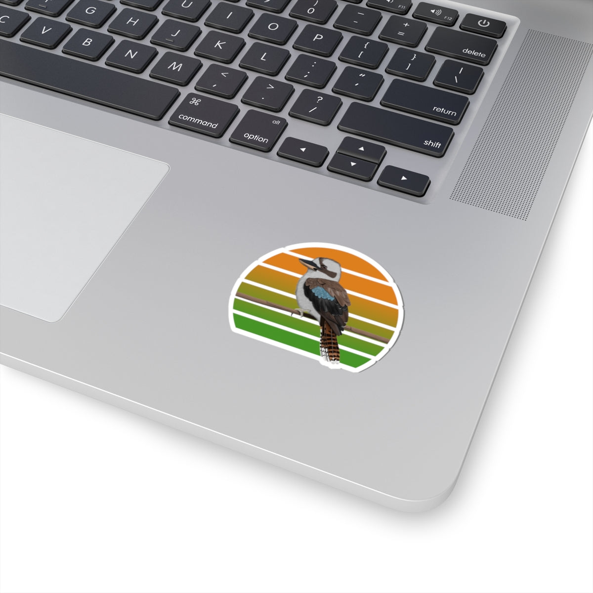 Kookaburra Bird Sticker