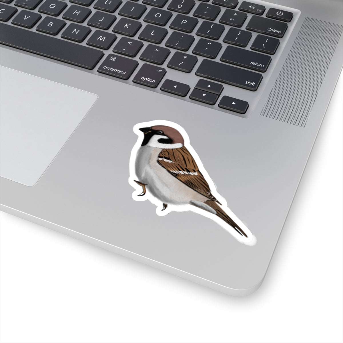 Tree Sparrow Bird Kiss-Cut Sticker - jz.birds