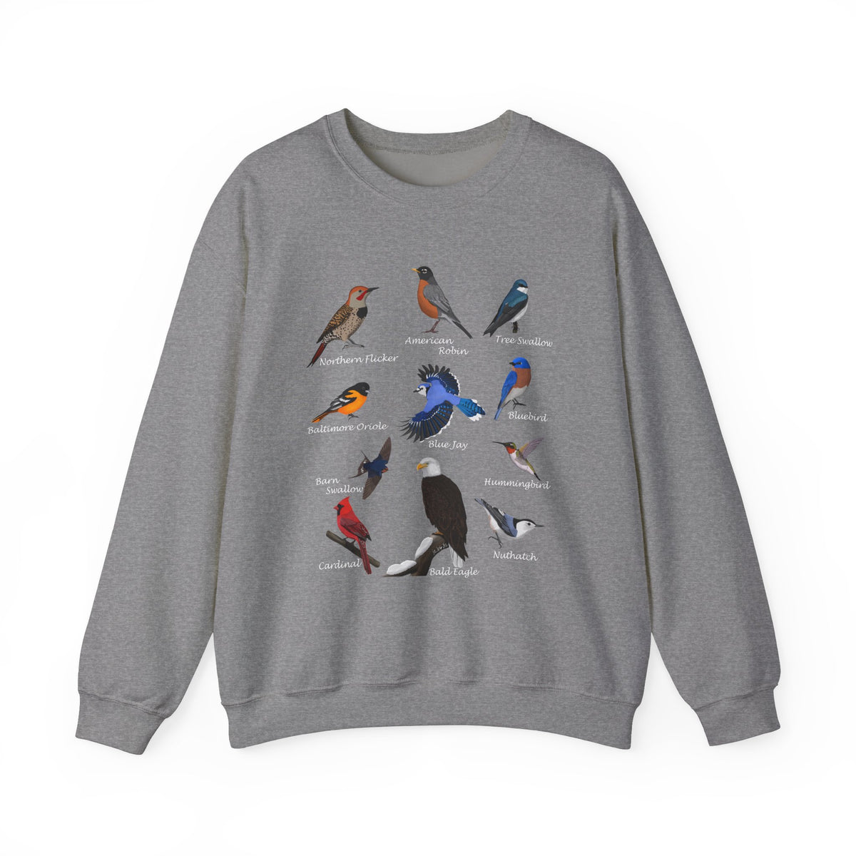 Hummingbird, Blue Jay, Cardinal, Oriole and Robin Bird Sweatshirt in Black