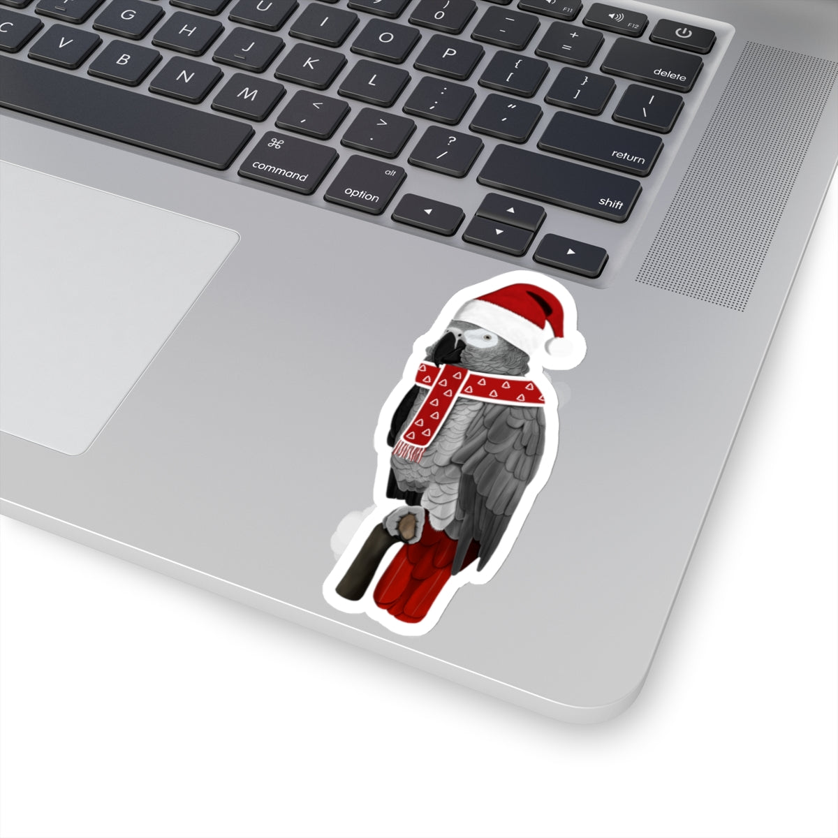Grey Parrot with Santa Claus Hat and Scarf Christmas Bird Sticker