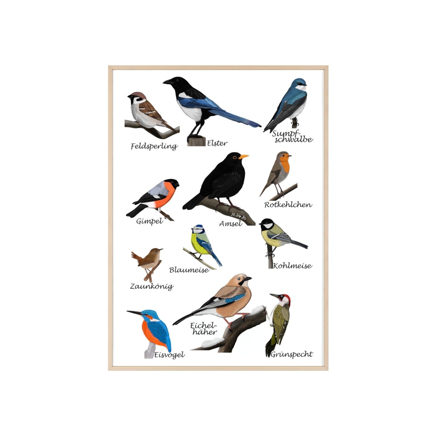 Vogel Poster im Holzrahmen - Gartenvögel Amsel Rotkehlchen Blaumeise