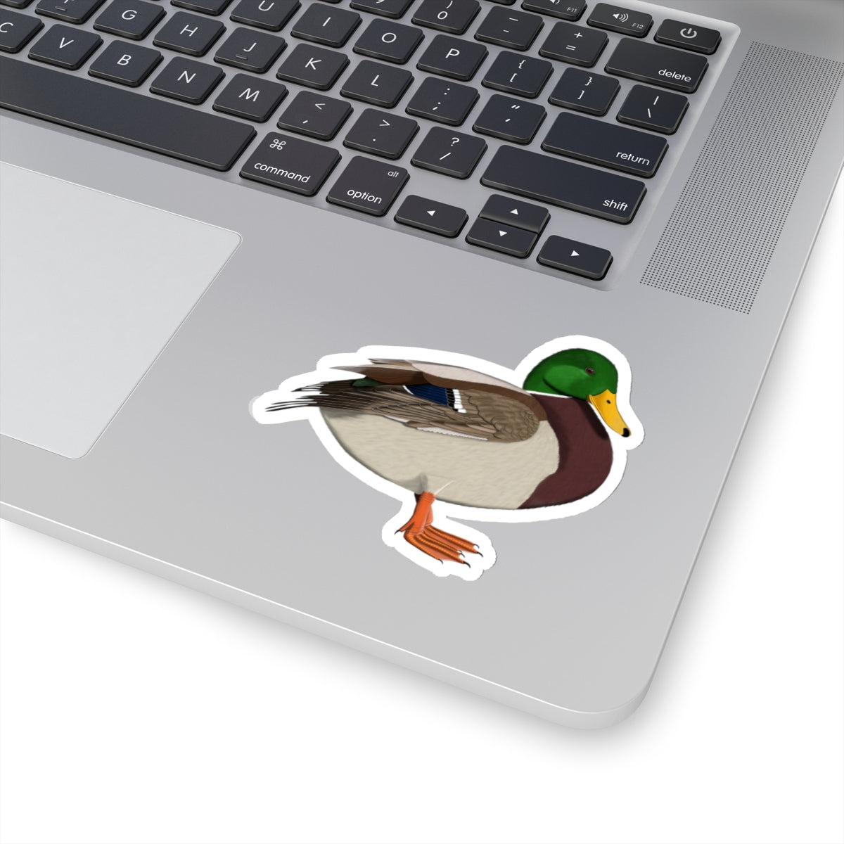 Mallard Bird Kiss-Cut Sticker - jz.birds
