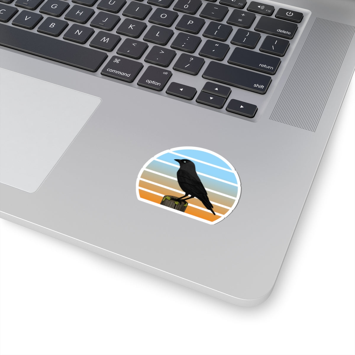 Jackdaw Bird Sticker