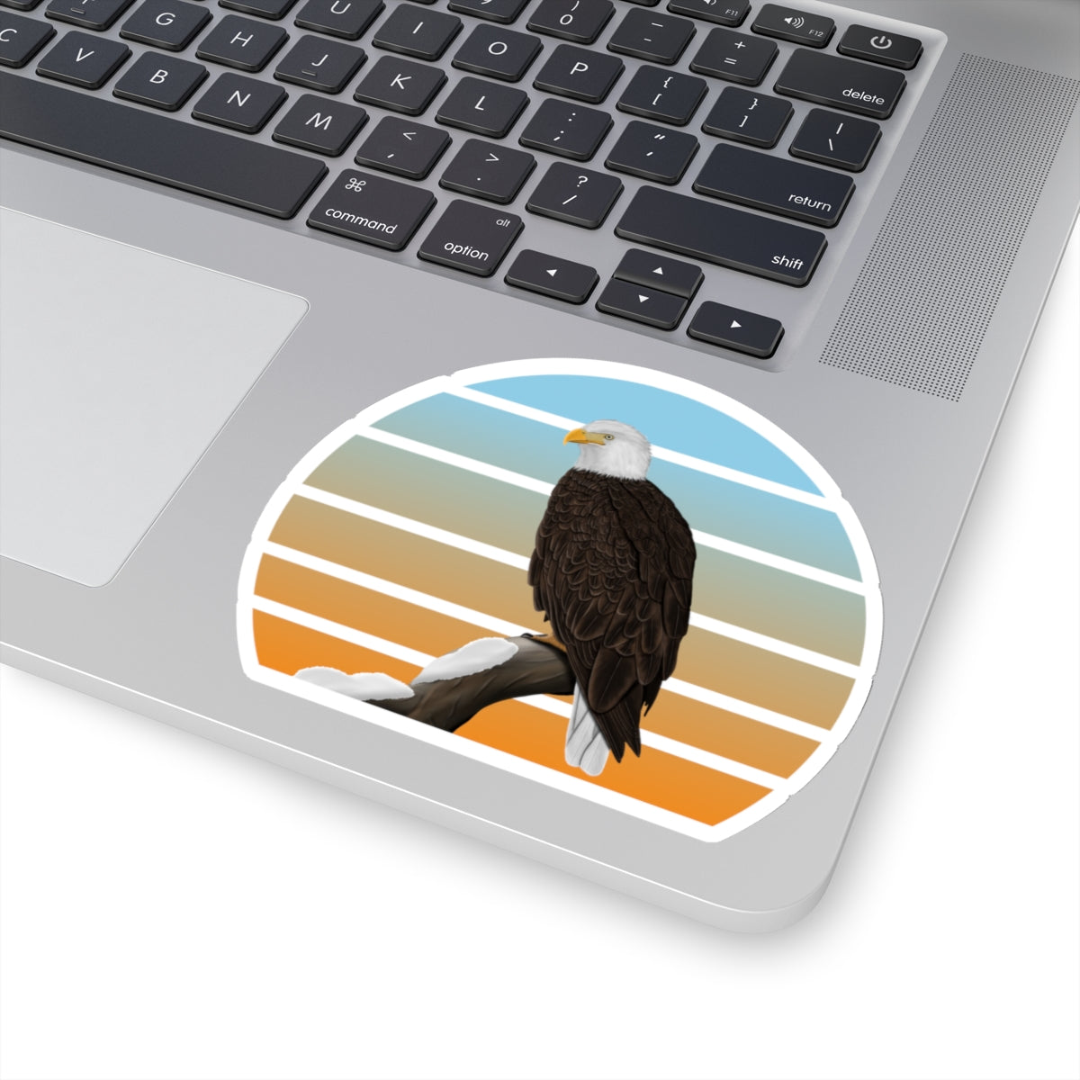 Bald Eagle Bird Sticker – Home & Living, Paper products