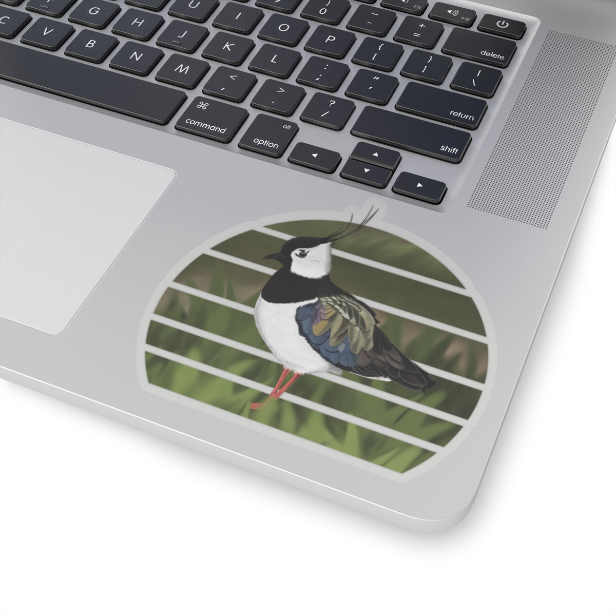 Lapwing Bird Sticker