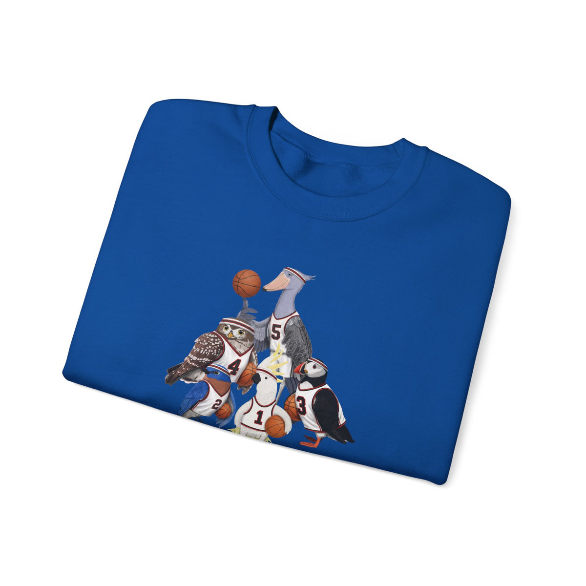 Funny Basketball Bird Sweatshirt | Bird Watcher Crewneck | Unisex Unique Hoops Fan Gift