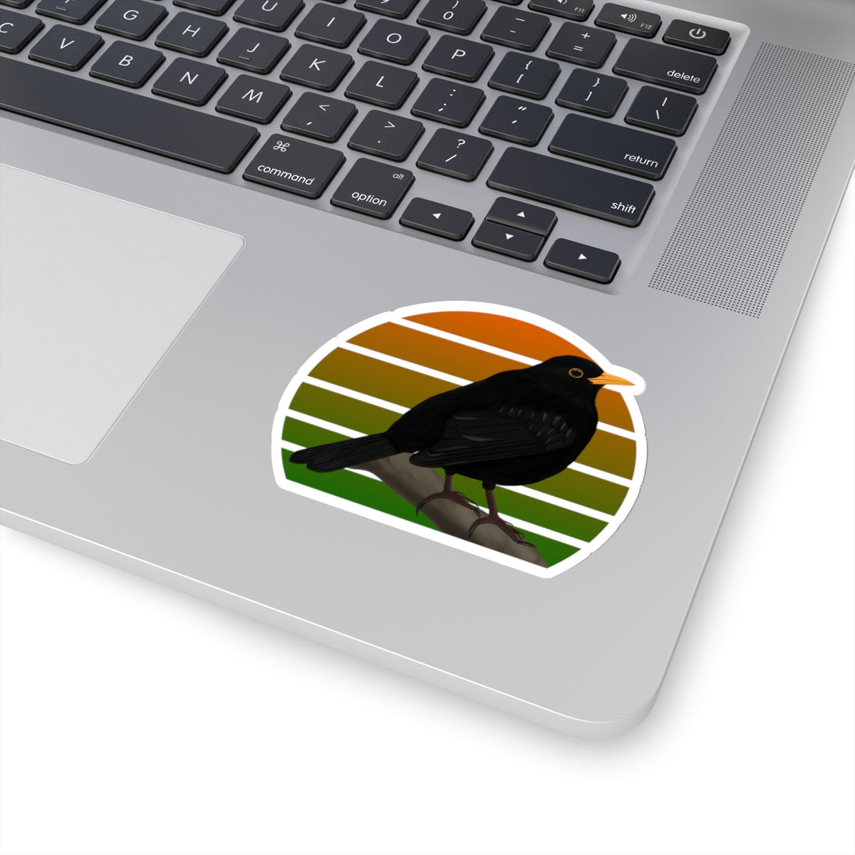 Blackbird Bird Sticker