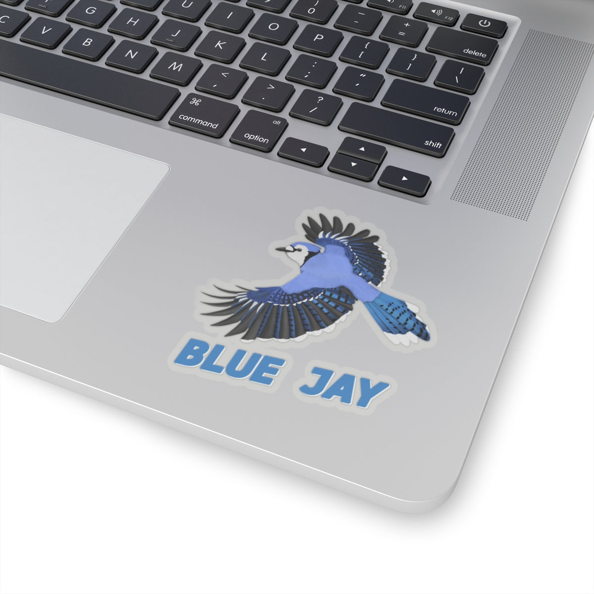Blue Jay Sticker Bird Lover & Bird Watcher
