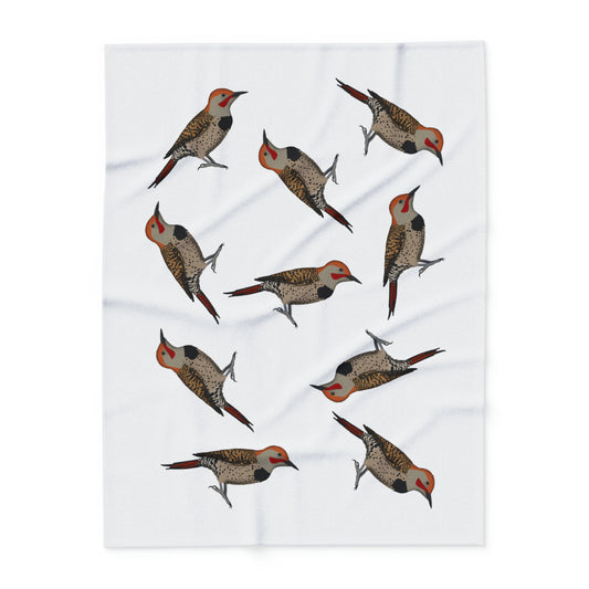 northern flicker bird blanket