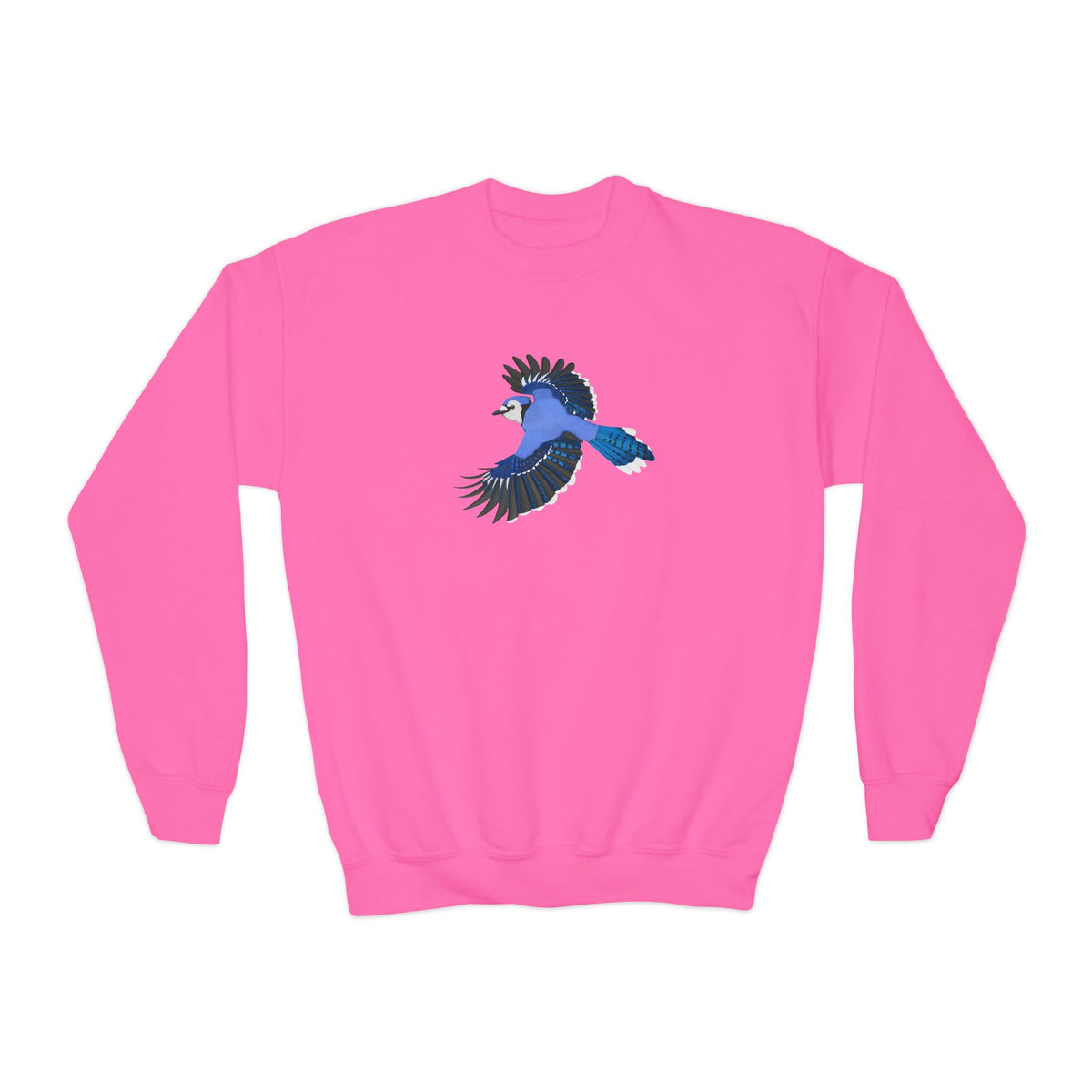 Blue Jay Youth Sweatshirts – Casual Kids Clothing and Cool Weather Outfit style