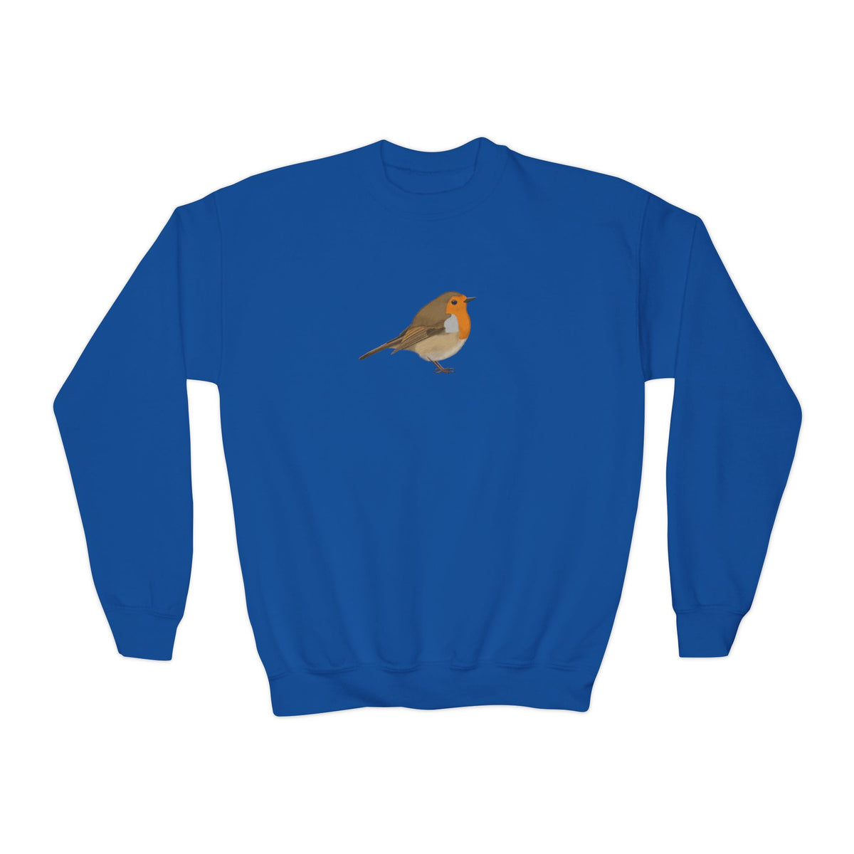 Robin Youth Sweatshirts – Casual Kids Clothing, Cool Weather Outfit