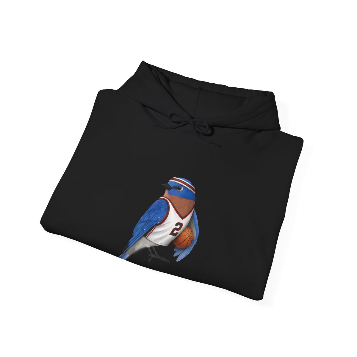 Bluebird Funny Basketball Bird Hoodie – Unique Hoops Fan Gift – Soft, Unisex Jumper for Players