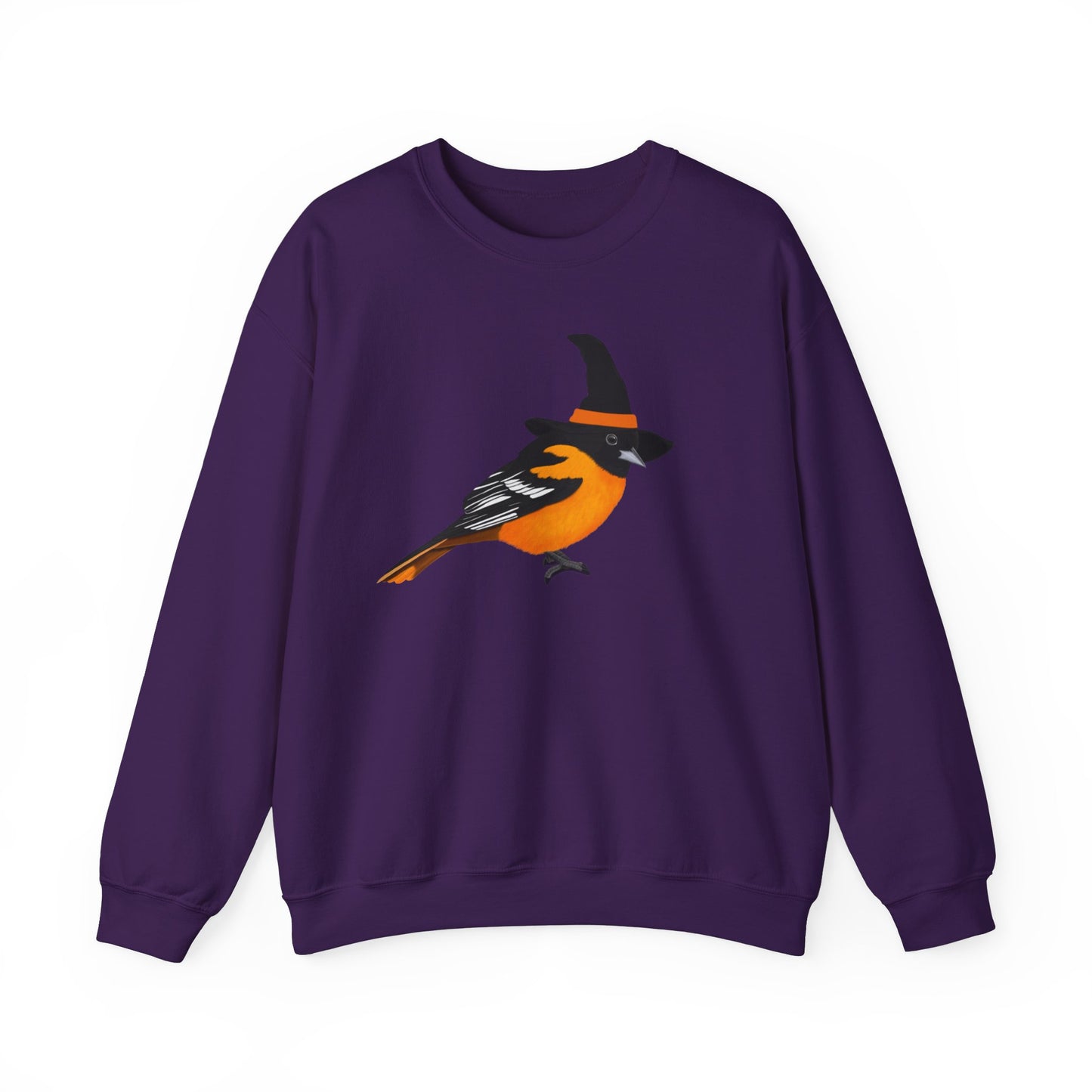 Baltimore Oriole Halloween Witch Birdwatcher Biologist Bird Sweatshirt
