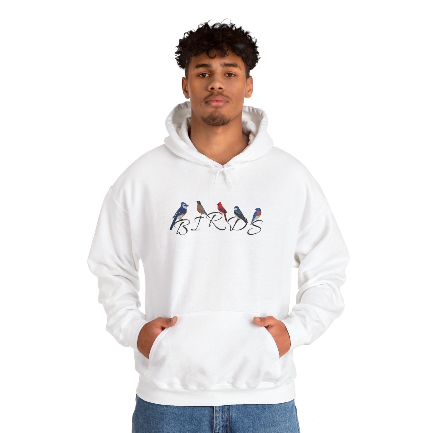 Birds Blue Jay Cardinal Robin Tree Swallow Bluebird Birding & Birdwatching Hoodie