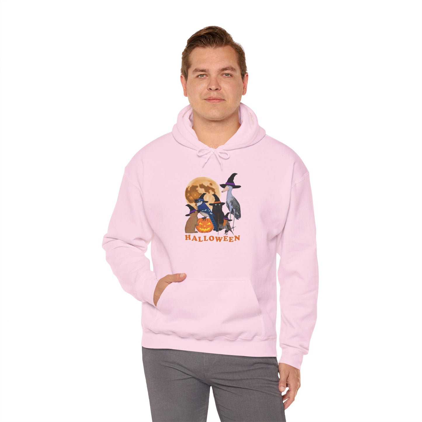 Blue Jay Robin Shoebill with Cat and Bunny Halloween Bird Hoodie