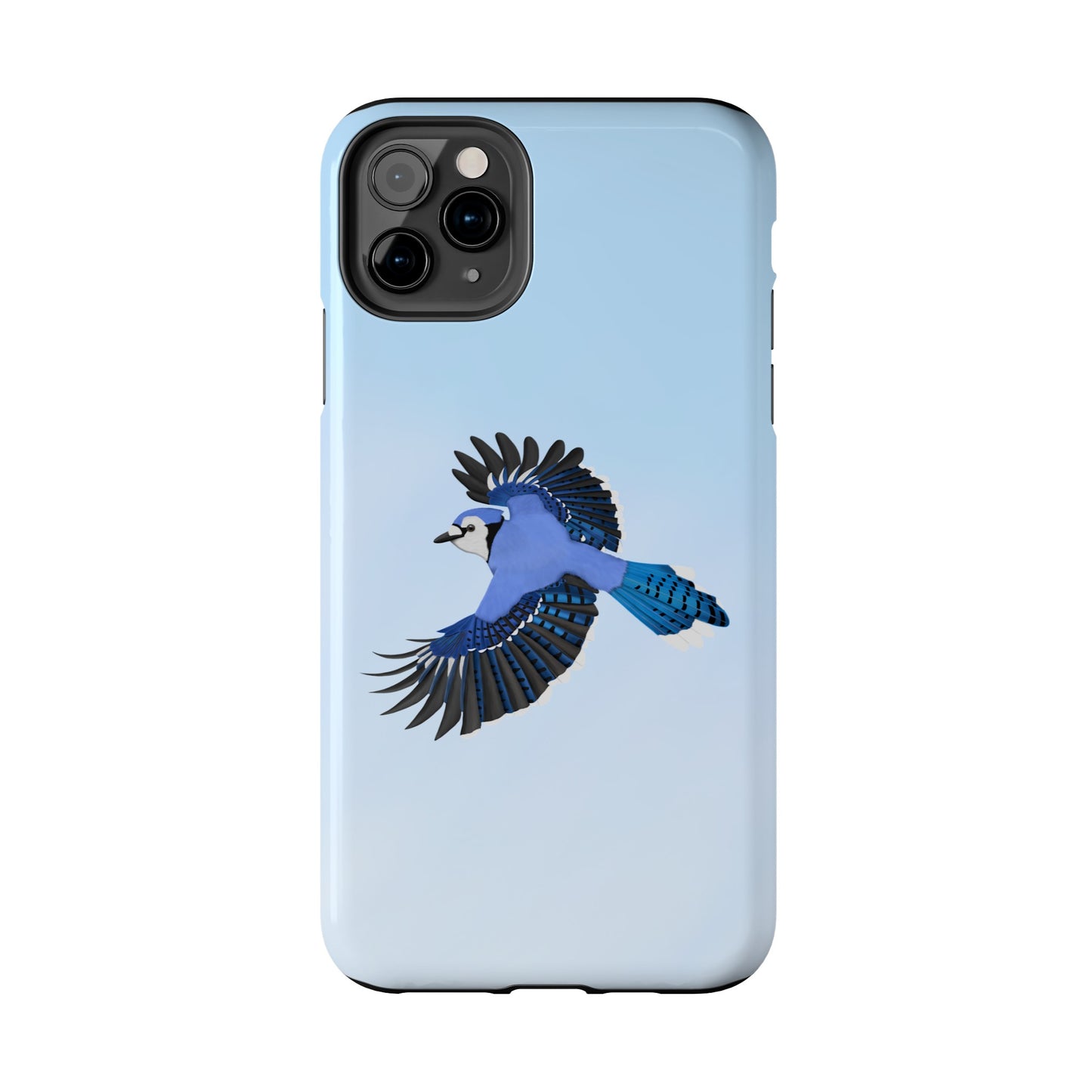 Blue Jay Bird Art Tough Phone Case