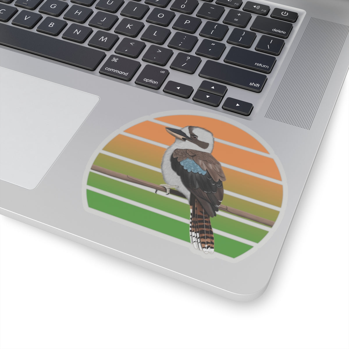 Kookaburra Bird Sticker