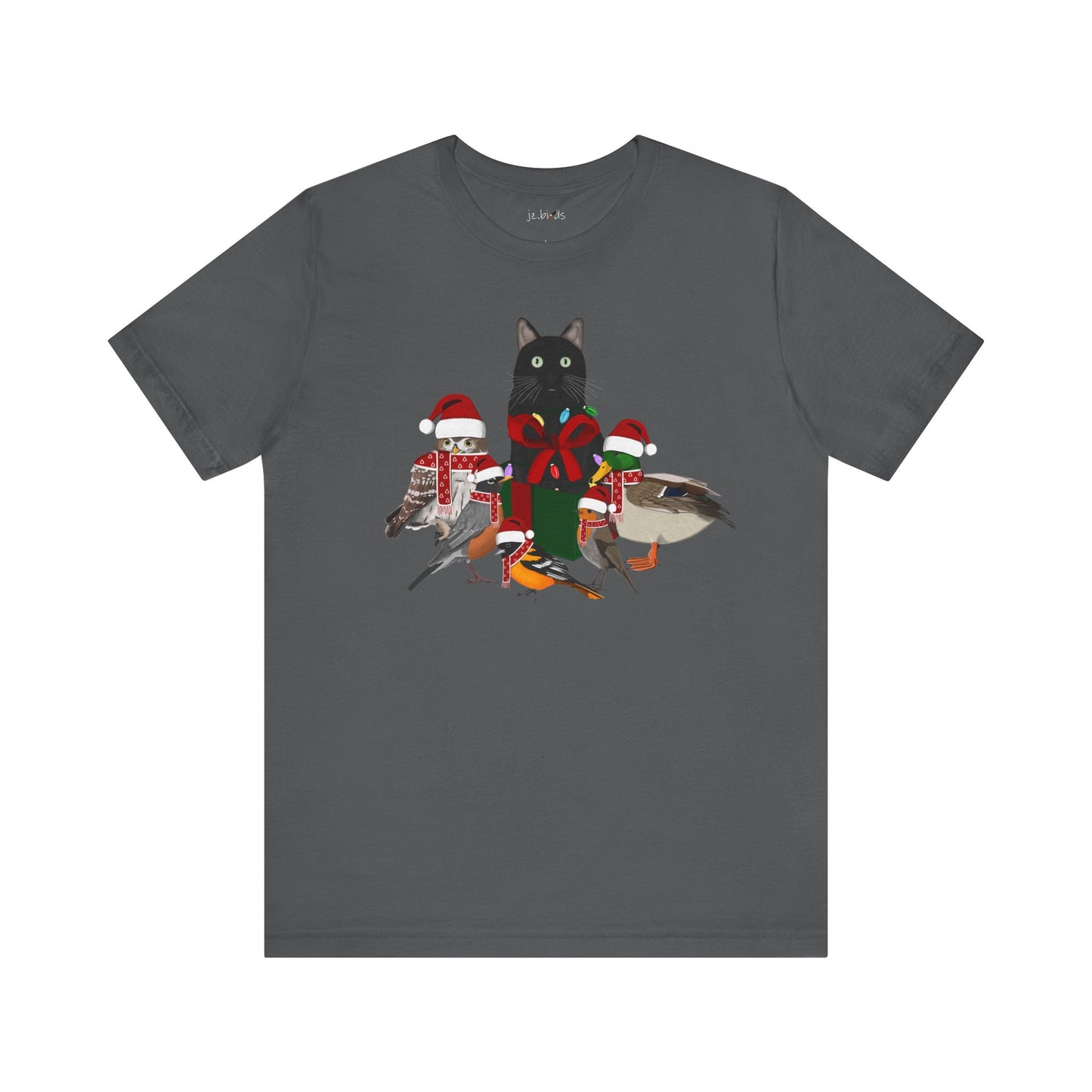 Robin Mallard Oriole Owl with Cat in a Box and Fairy Lights Christmas Bird T-Shirt