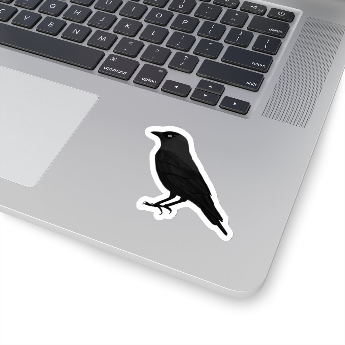 Western Jackdaw Bird Kiss-Cut Sticker - jz.birds
