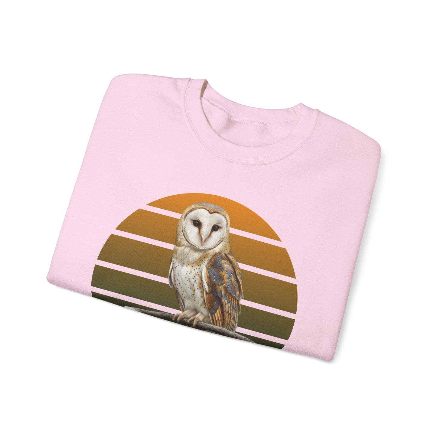 Barn Owl Sweatshirt | Bird Watcher Crewneck | Unisex Songbird Gift for Bird Lovers