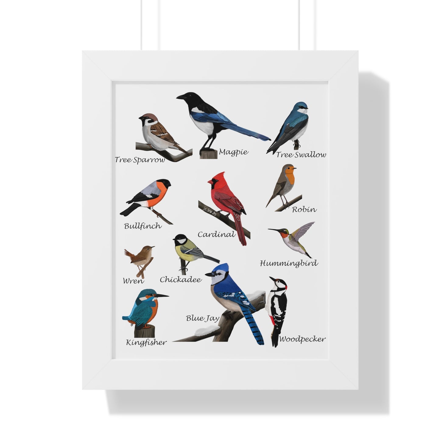 Garden Birds Blue Jay Cardinal Bullfinch Chickadee Framed Poster