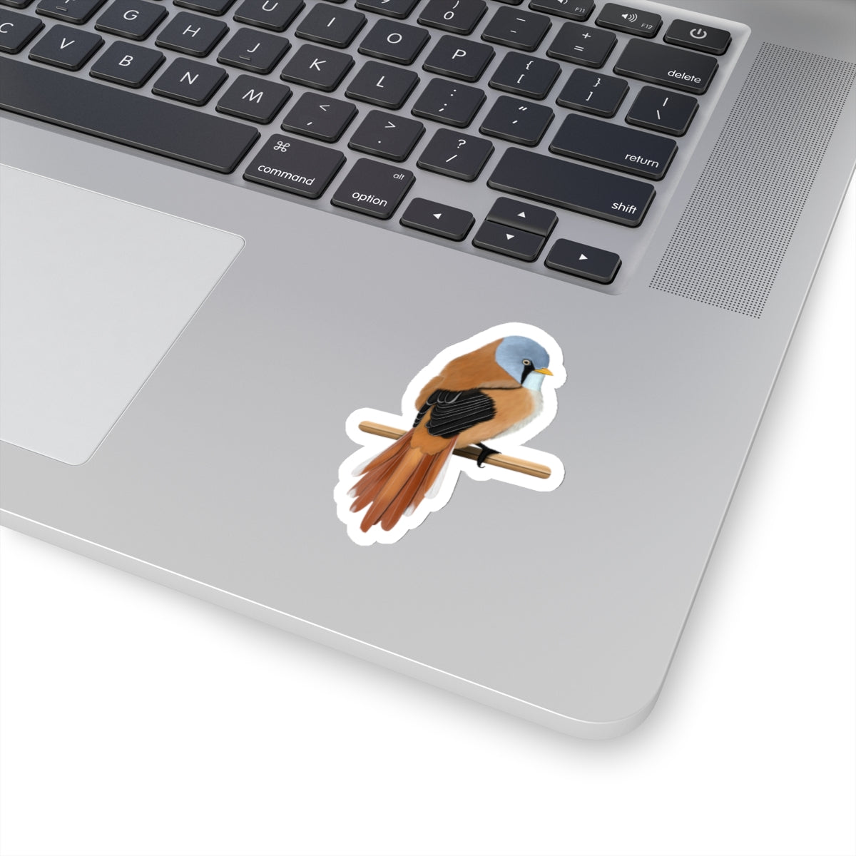 Bearded Reedling Bird Kiss-Cut Sticker - jz.birds