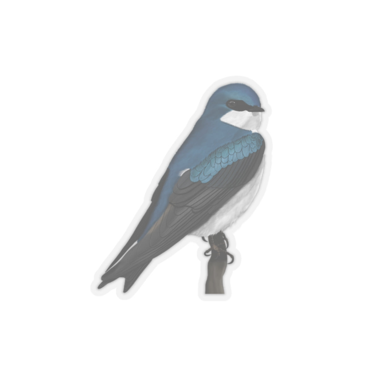 Tree Swallow Bird Kiss-Cut Sticker - jz.birds