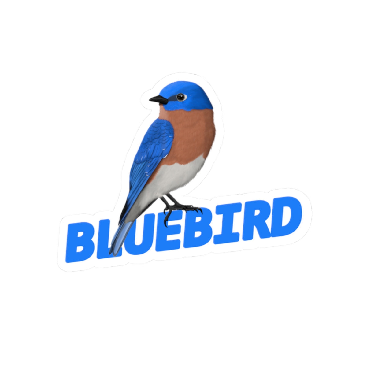 Bluebird Stickers – Sticker Bird Lover & Watcher