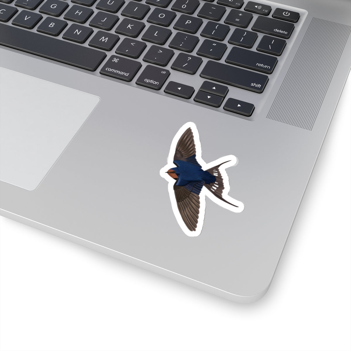 Barn Swallow Bird Kiss-Cut Sticker - jz.birds