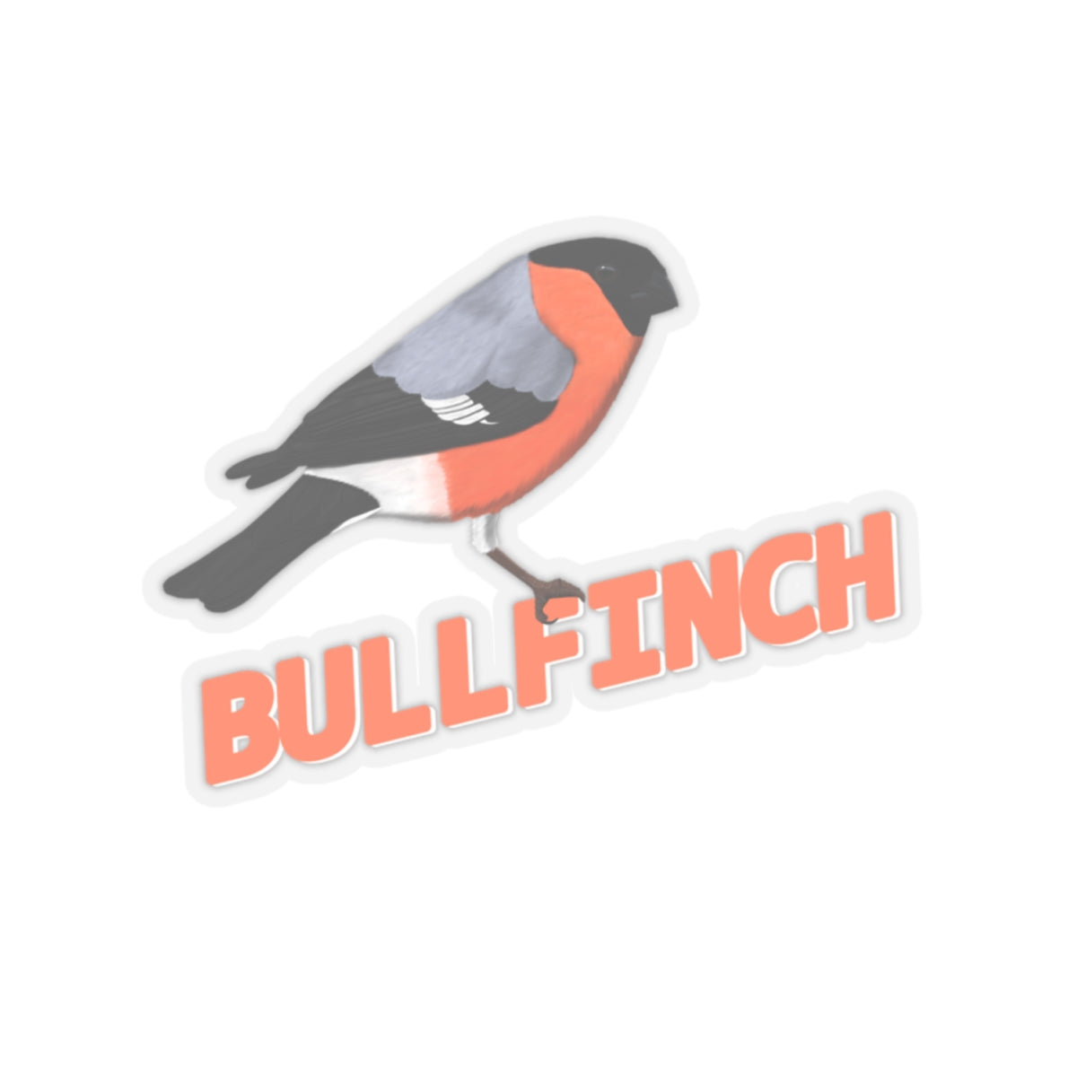 Bullfinch Sticker Bird Lover & Bird Watcher