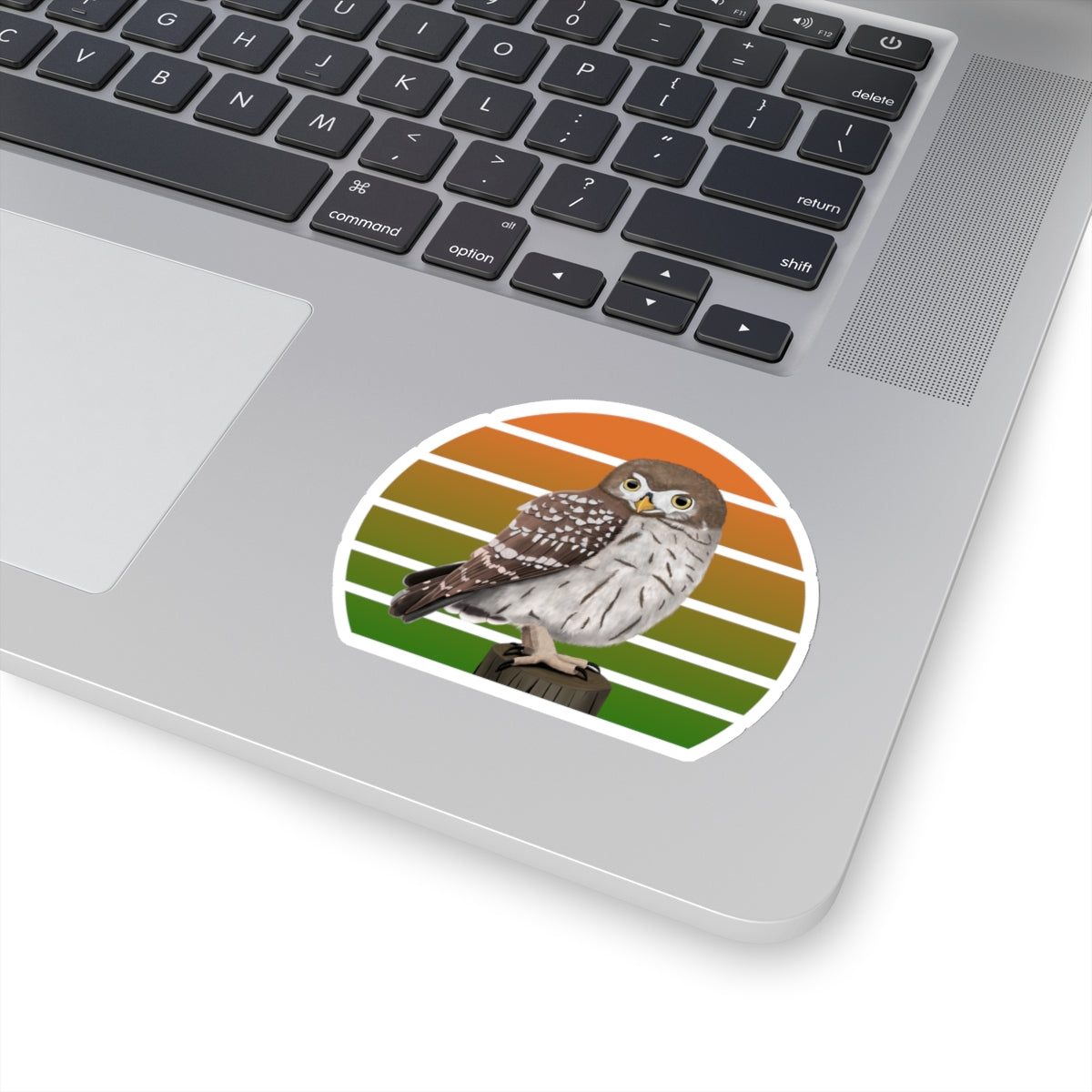 Little Owl Bird Sticker