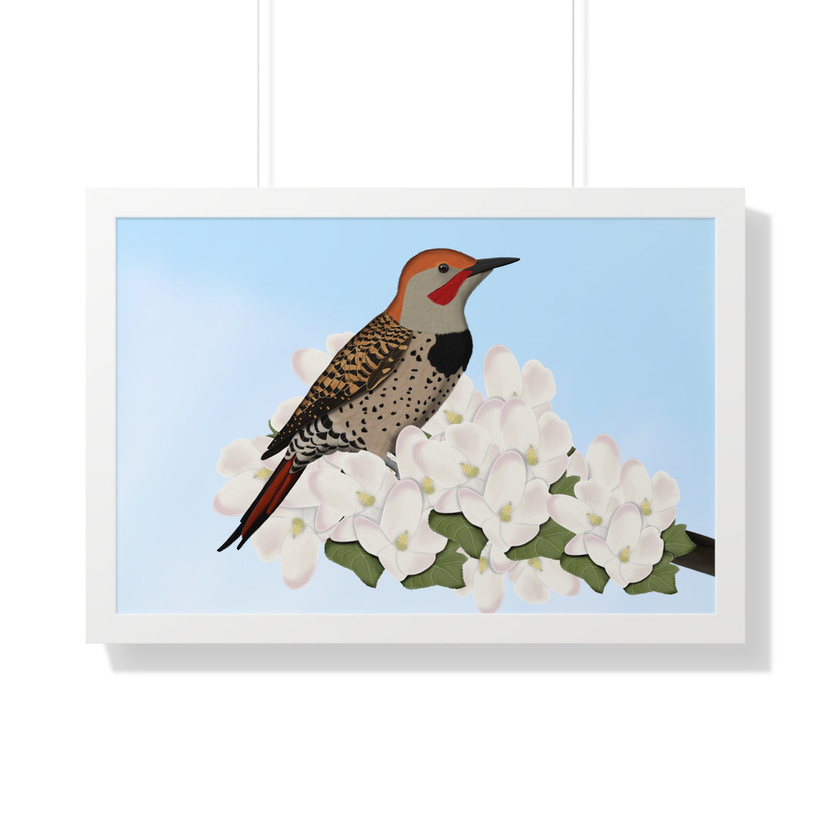 Northern Flicker Spring Blossoms Bird Framed Poster