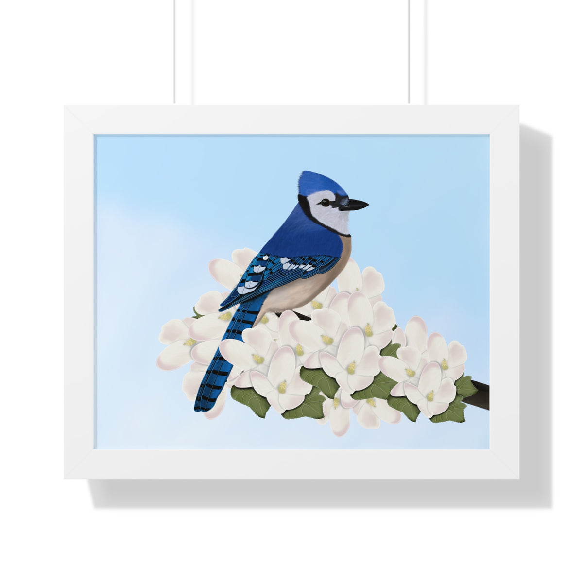 Blue Jay Spring Blossoms Bird Framed Poster