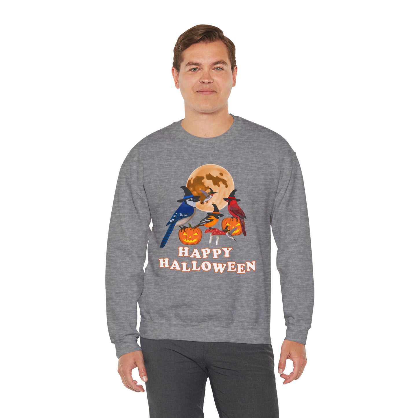Blue Jay Cardinal Oriole Hummingbird Halloween Birds Witch Birdwatcher Sweatshirt