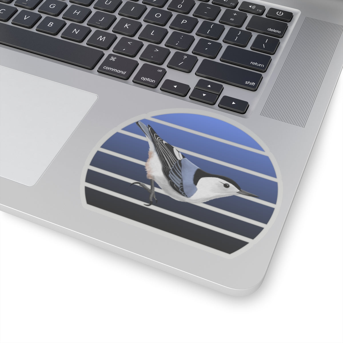 Nuthatch Bird Sticker
