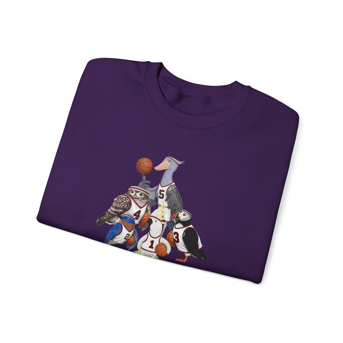 Funny Basketball Bird Sweatshirt | Bird Watcher Crewneck | Unisex Unique Hoops Fan Gift