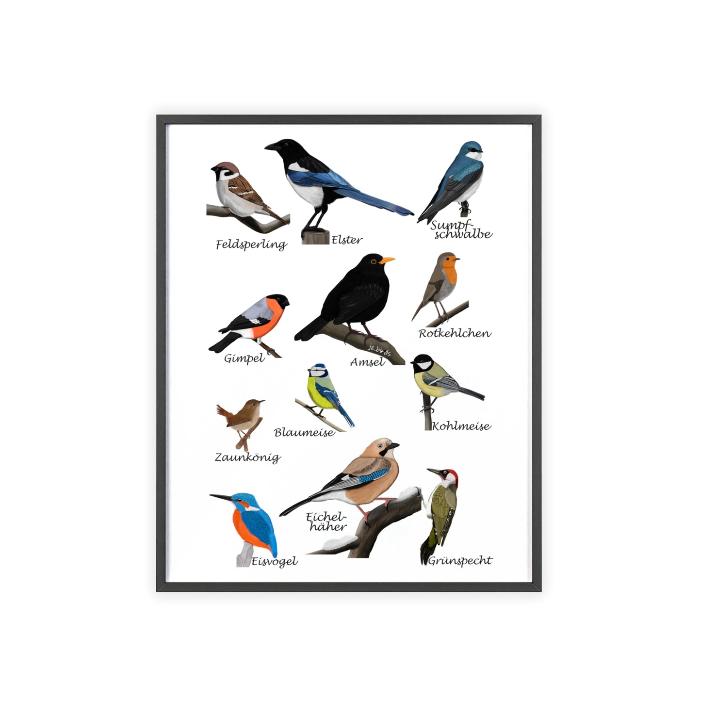 Vogel Poster im Holzrahmen - Gartenvögel Amsel Rotkehlchen Blaumeise