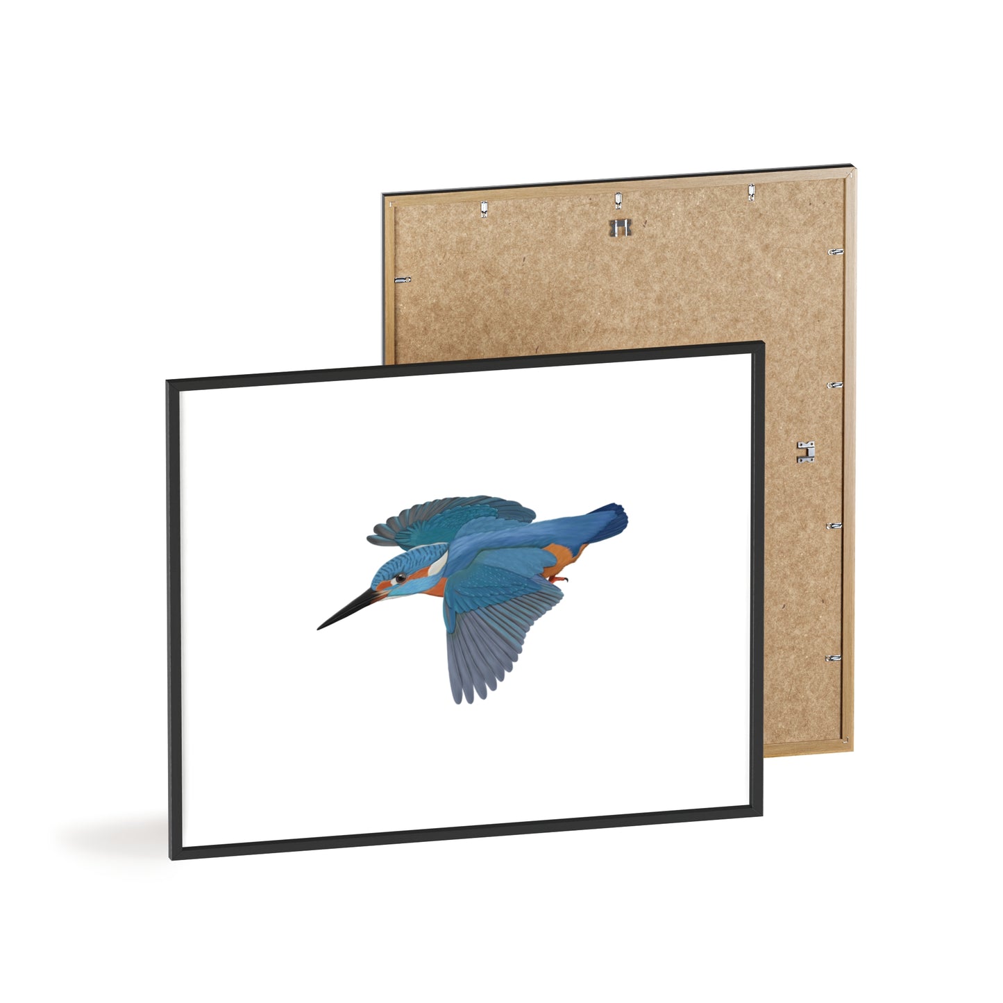 Vogel Poster im Holzrahmen - Eisvogel Poster Singvogel Weiß