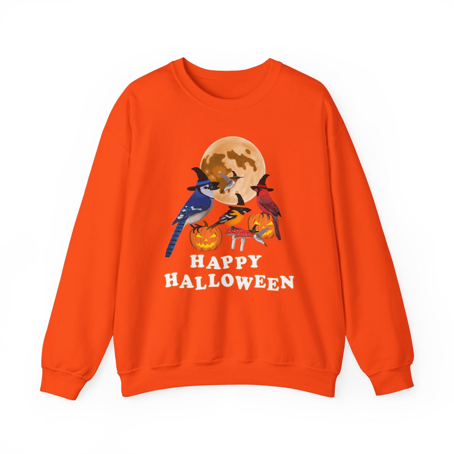 Blue Jay Cardinal Oriole Hummingbird Halloween Birds Witch Birdwatcher Sweatshirt
