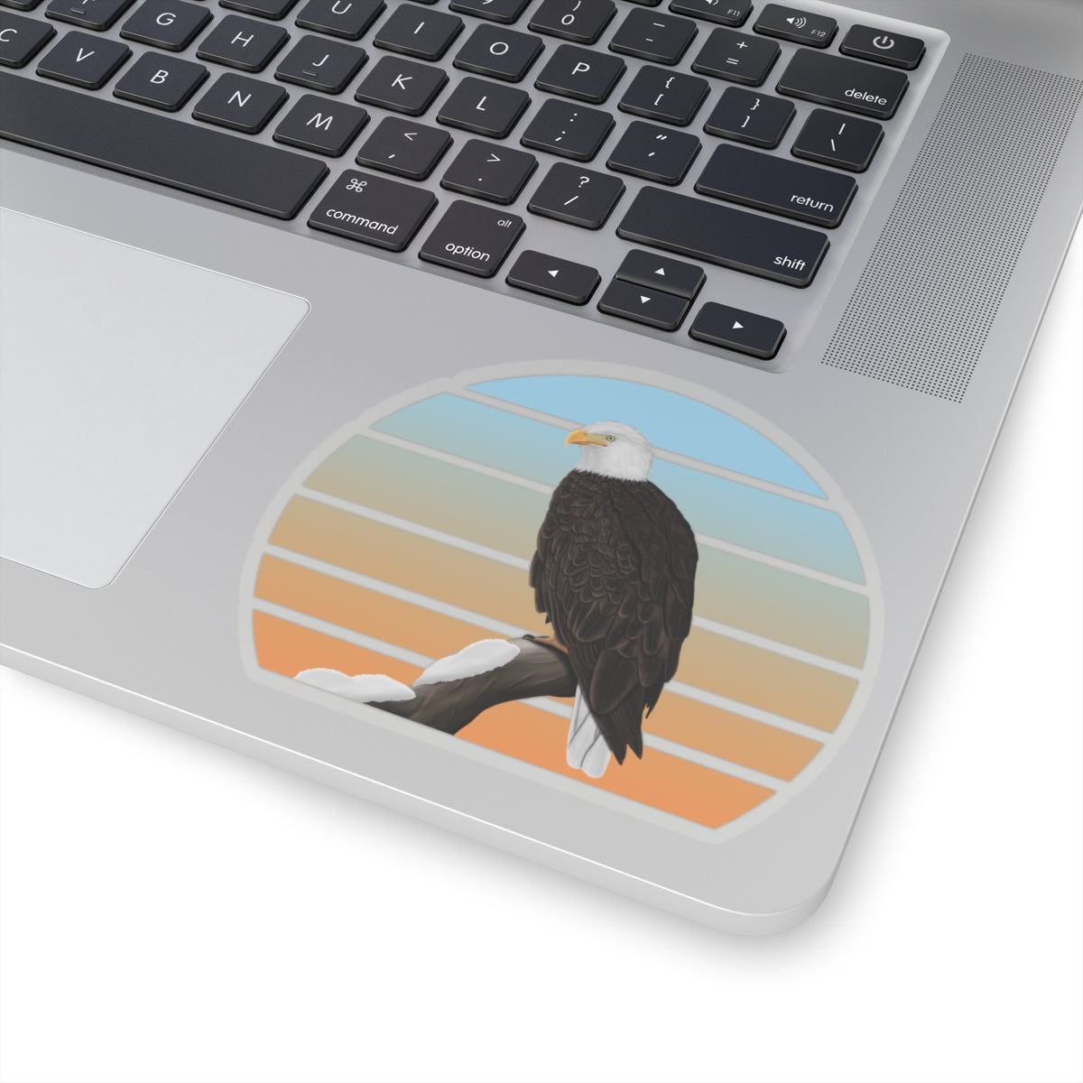 Bald Eagle Bird Sticker