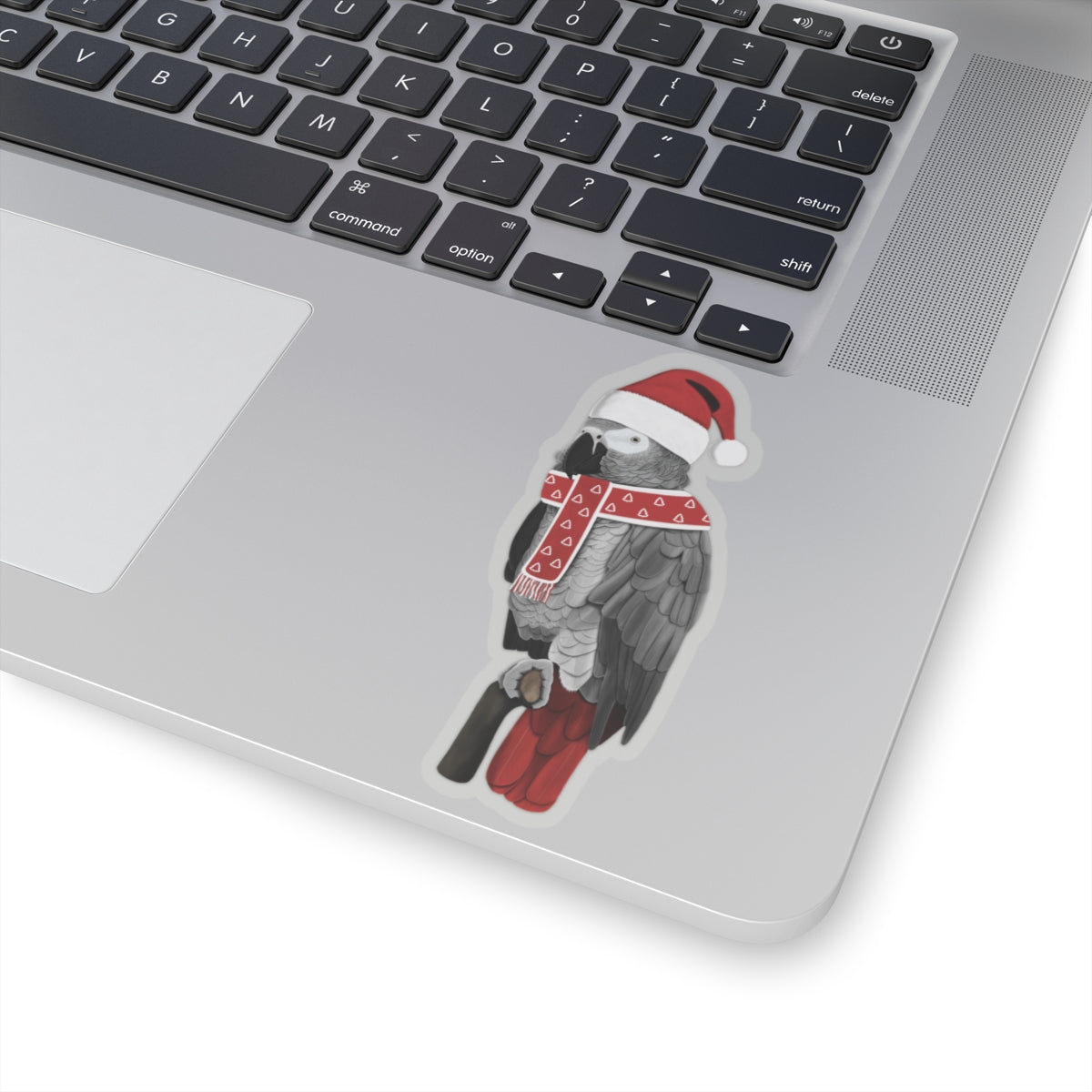 Grey Parrot with Santa Claus Hat and Scarf Christmas Bird Sticker