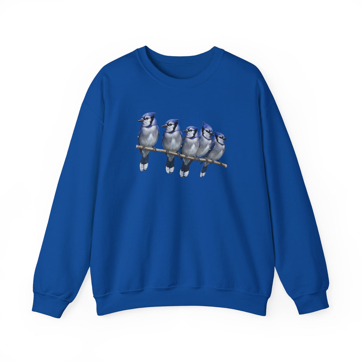 Blue Jay Bird Sweatshirt in Black